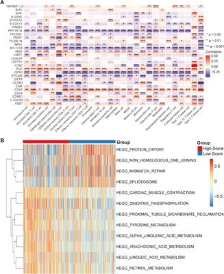 Identification of the molecular characteristics associated with microsatellite status of colorectal cancer patients for the clinical application of immunotherapy